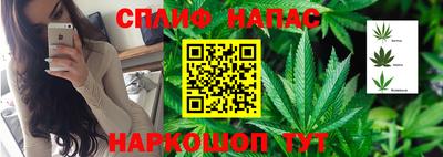 гашик Усть-Джегута