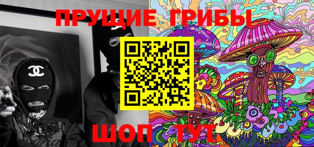 Галлюциногенные грибы Psilocybe Междуреченск